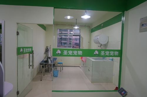 圣寵忻州寵物店