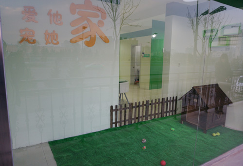 圣寵忻州寵物店