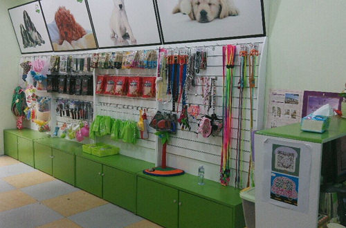 圣寵寵物江蘇常州萬達寵物店