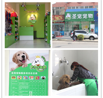 圣寵寵物店(北京昌平店)
