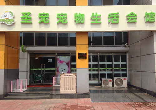 圣寵寵物天津河西區寵物店