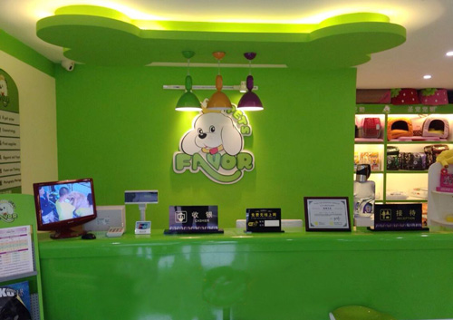圣寵寵物天津河西區寵物店
