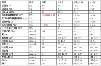 血液生化檢查：
