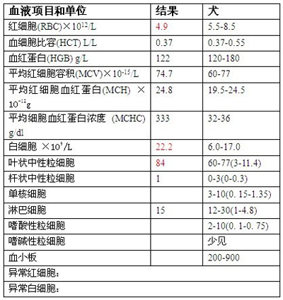 血常規檢查：