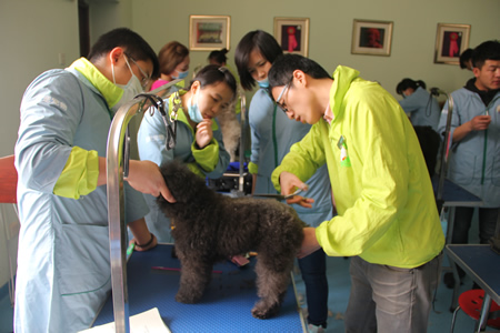 圣寵名師指導學員學習