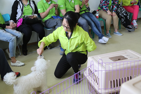 圣寵寵物19期學員訓犬課