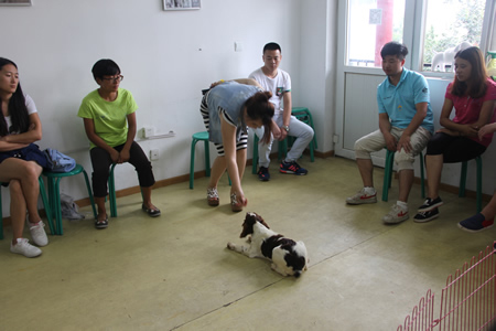 圣寵23期學(xué)員訓(xùn)犬實(shí)操課程