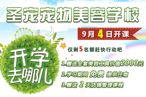 北京寵物美容師培訓費用多少