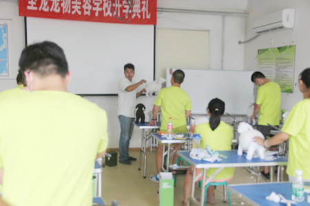 圣寵寵物美容學校26期：假毛修剪練習