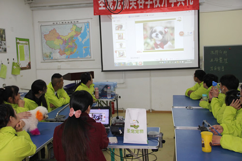 圣寵寵物28期學員寵物飾品DIY課程