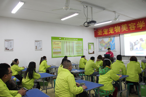 圣寵寵物33期寵物美容班開學(xué)典禮