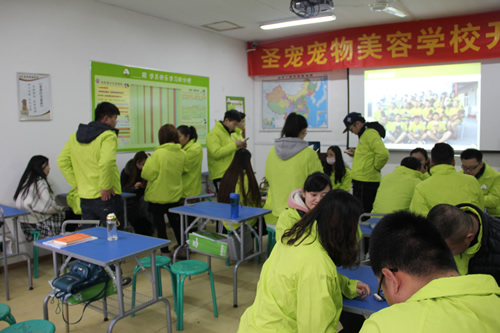 圣寵寵物33期寵物美容班開學(xué)典禮