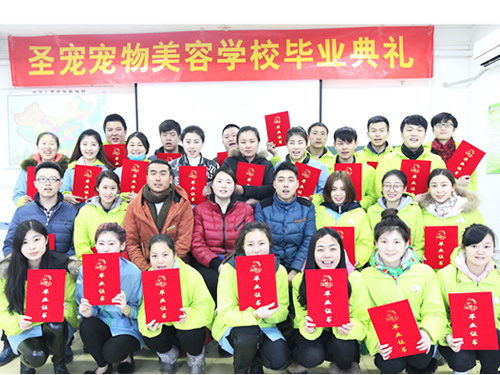 如何選擇一家正規的寵物美容學校