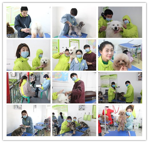 恭賀圣寵美容班34期學(xué)員們順利畢業(yè)