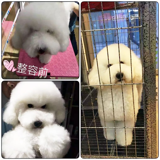 只要有信心,人永遠不會挫敗-32期美容班宋楊