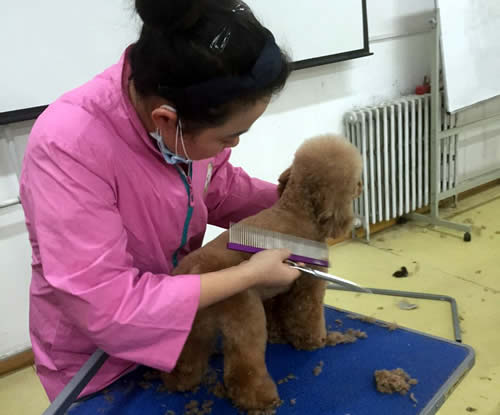 高中畢業學什么比較有前途