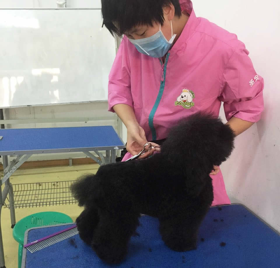 高中畢業學什么比較有前途