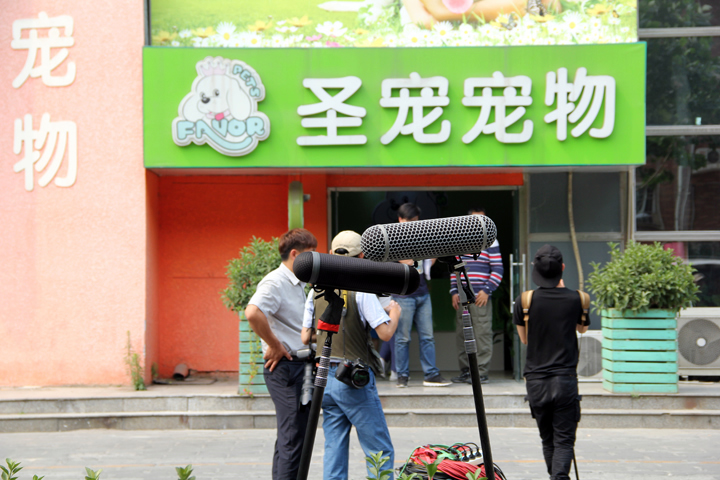 boss當不起拍攝地點圣寵寵物美容學(xué)校