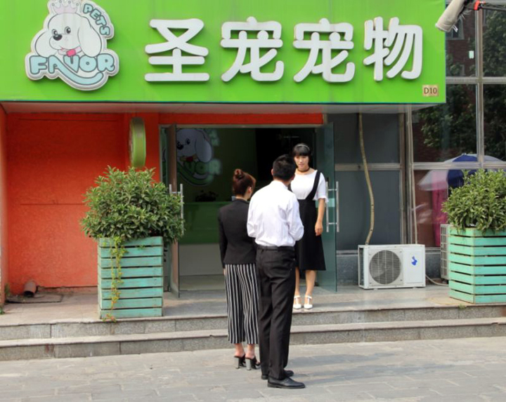 boss當不起拍攝地點圣寵寵物美容學(xué)校