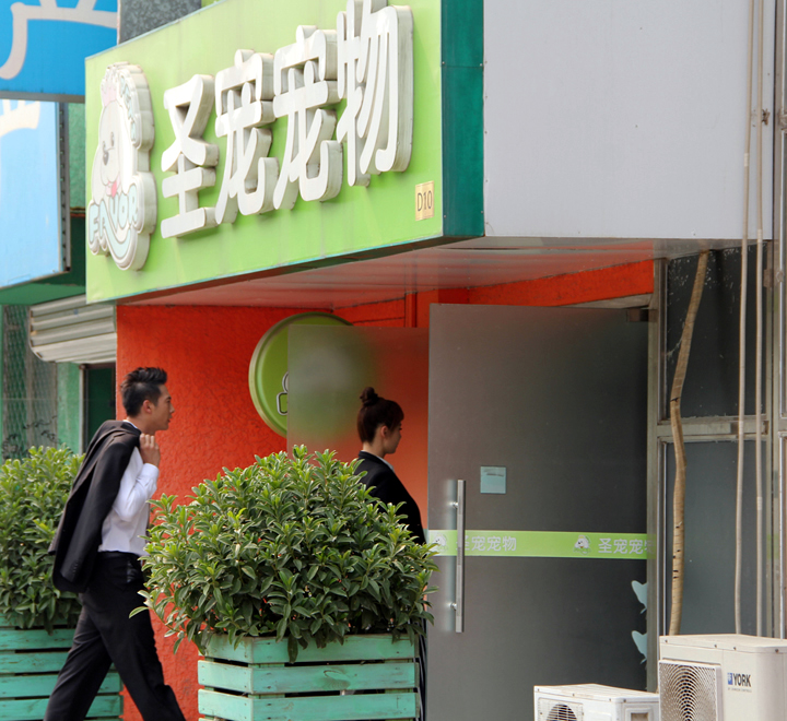 boss當不起拍攝地點圣寵寵物美容學(xué)校