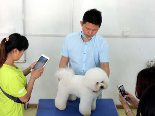 選擇學什么技術好找工作