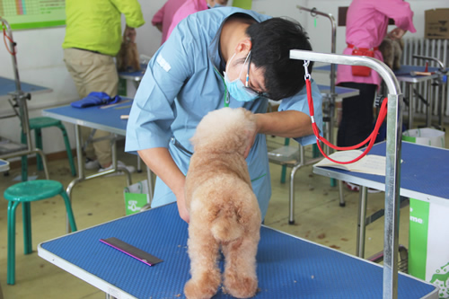 選擇學什么技術好找工作