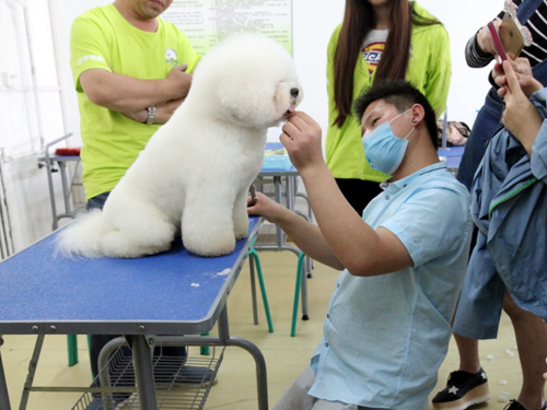 剛畢業的學生適合做什么