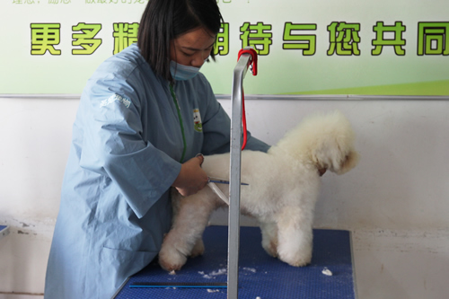 43期美容班實操美容課