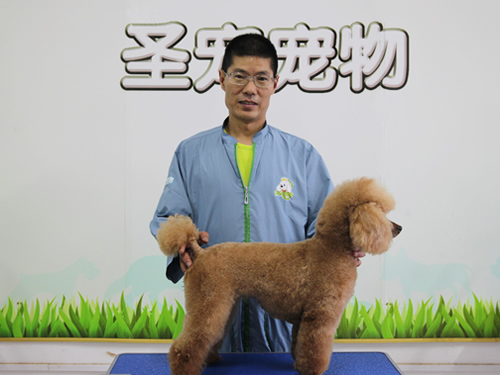 高中生學(xué)寵物美容怎樣