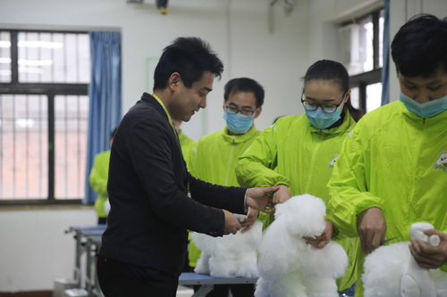 圣寵寵物培訓學校美容課實操