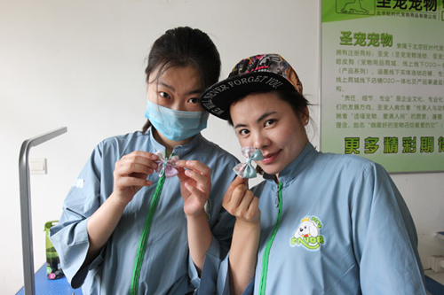 圣寵寵物美容創(chuàng)意手工課