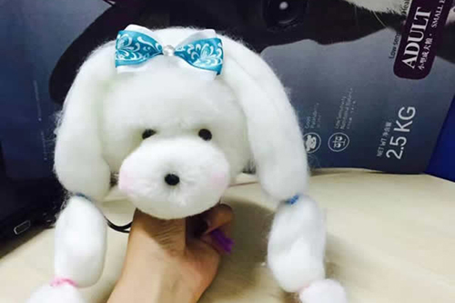 圣寵寵物培訓學校創意塑形課