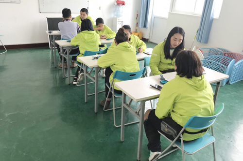 圣寵馴犬學校第37期畢業考試