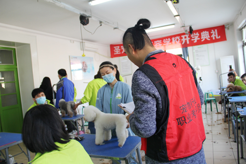 圣寵培訓第74期美容班學員畢業考試