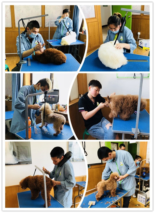 為你喝彩丨今天79期美容班的優秀表現非TA莫屬