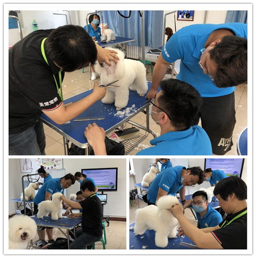 今日課程|我們第2期行為美容師B級的實操課程