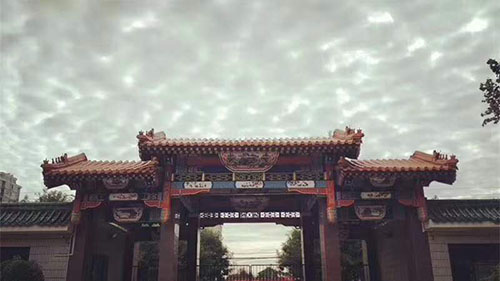 去圣寵寵物美容學校能學到好技術嗎